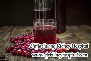 Chronic Nephritis, infections, kidney disease