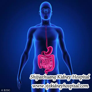 Chronic Nephritis, infections, kidney disease