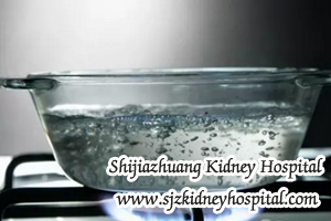 Chronic Nephritis, infections, kidney disease