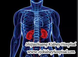 CKD Diet, kidney disease, protein intakes