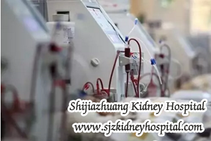 CKD Diet, kidney disease, protein intakes