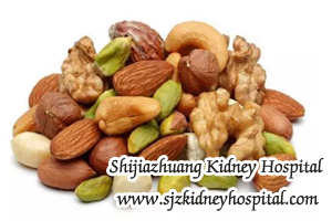 CKD Diet, kidney disease, protein intakes