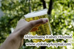 proteinuria, kidney disease, renal function