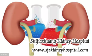 CKD Basics, kidney problem, diagnosis