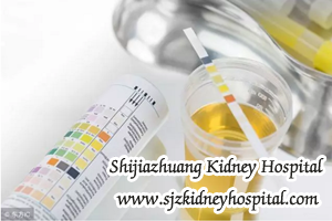 Many Kidney Disease Patients Do Not Know Clear About Protein Urine