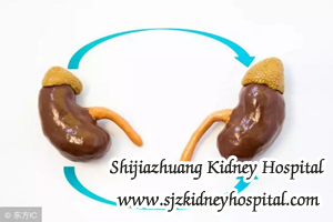 Creatinine Rises Rapidly from Normal To 500 What to Do