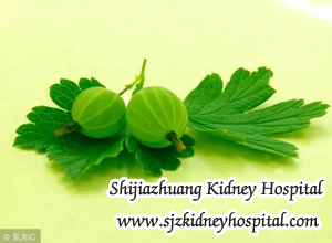 These Four Kinds of Drugs Should be Avoid for Kidney Disease Patients