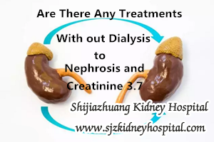 Are There Any Treatments With out Dialysis to Nephrosis and Creatinine 3.7