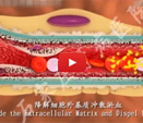 Micro-Chinese Medicine for Kidney Disease